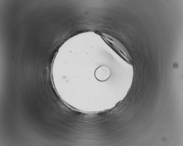 X0000116810720201001151144