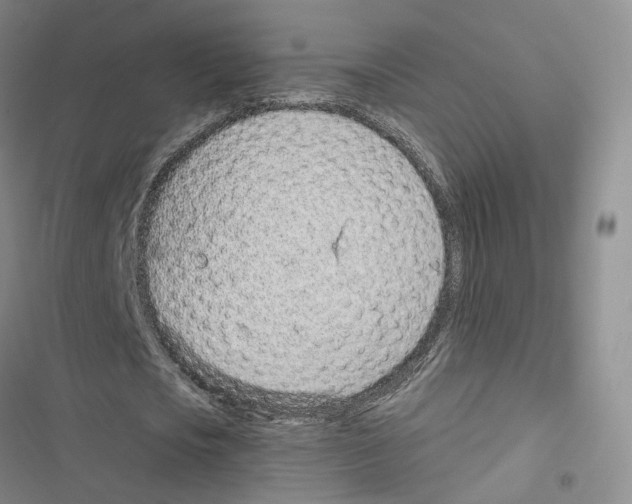 X0000116810721201001151143