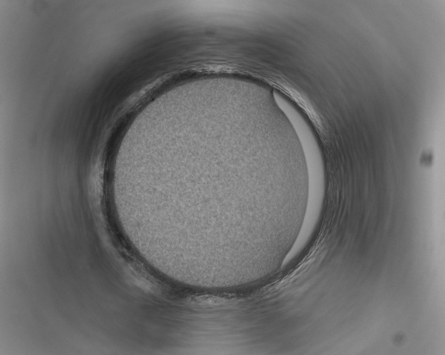 X0000116810722201001151143