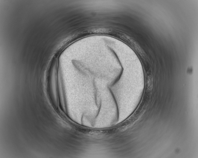 X0000116810725201001151143