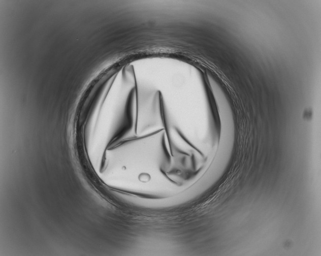 X0000116810726201001151143