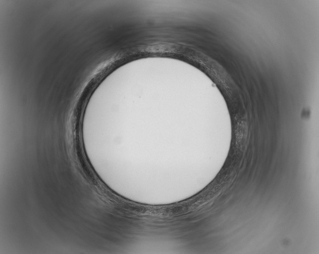 X0000116810727201001151143