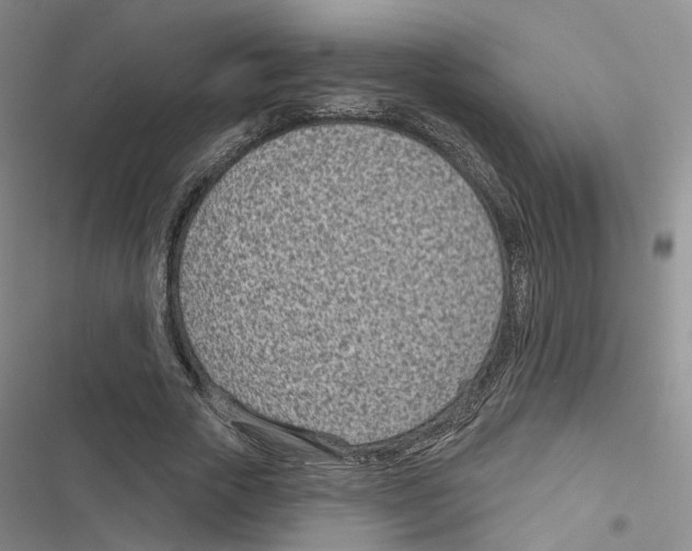 X0000116810729201001151143