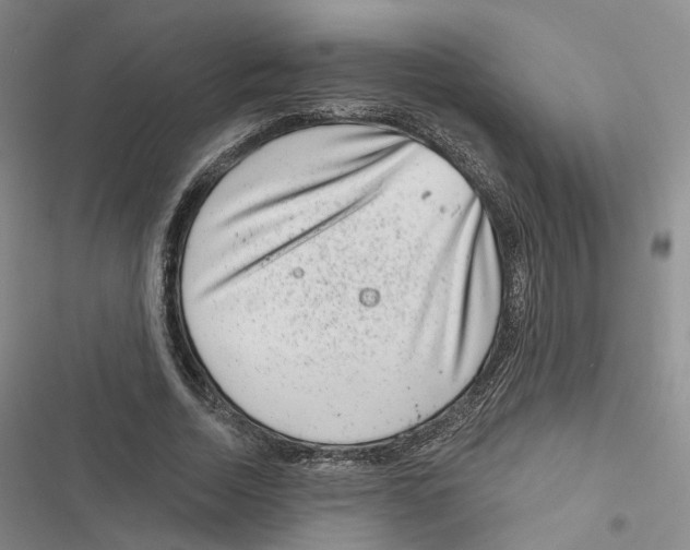 X0000116810730201001151143