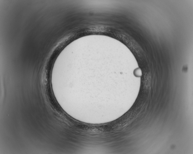 X0000116810731201001151143