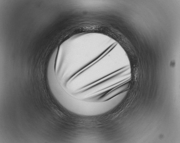 X0000116810737201001151143