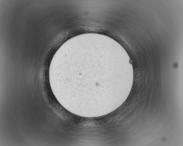 X0000116810738201001151143