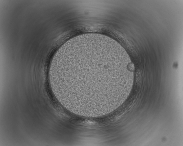 X0000116810741201001151143
