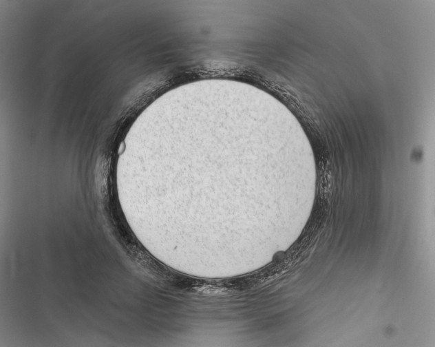 X0000116810742201001151143