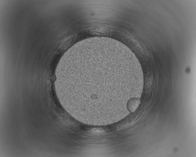X0000116810749201001151143