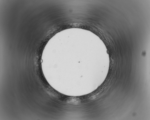 X0000116810750201001151143