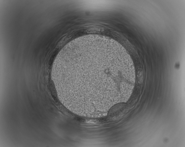 X0000116810753201001151143