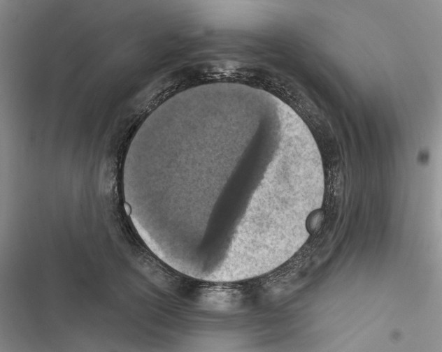 X0000116810754201001151143