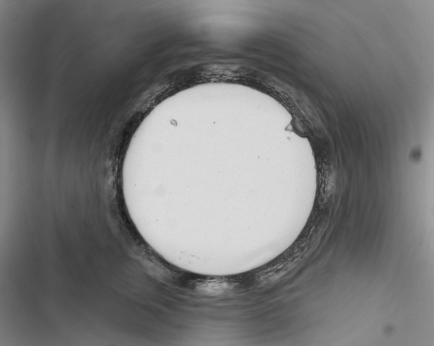 X0000116810759201001151143