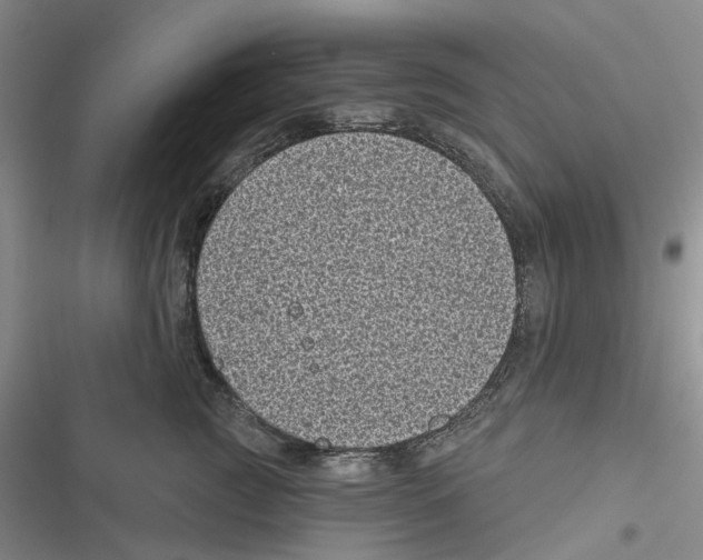 X0000116810761201001151143