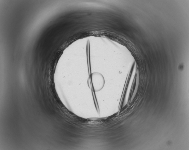 X0000116810762201001151143