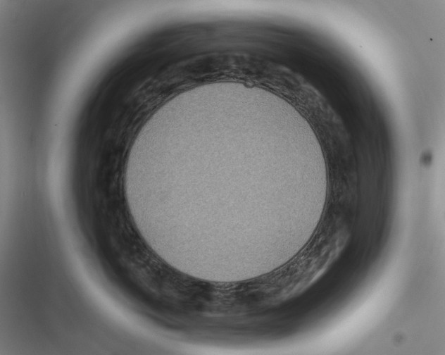 X0000116810766201001151143