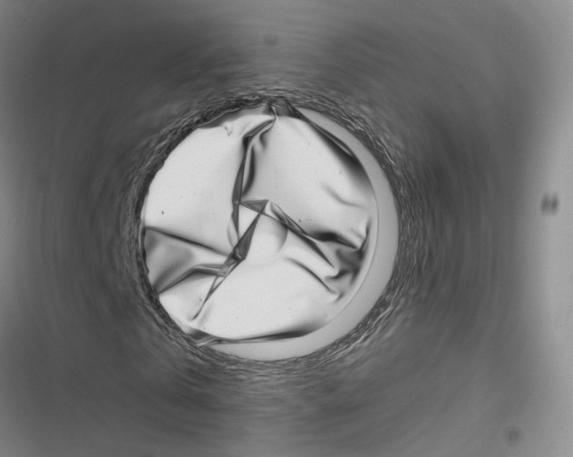 X0000116810769201001151143