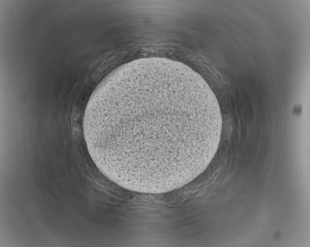 X0000116810770201001151143