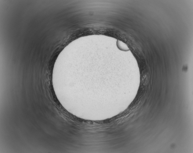 X0000116810772201001151143