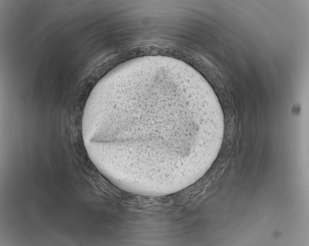 X0000116810774201001151143