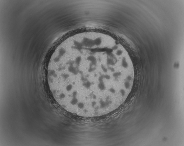 X0000116810776201001151143