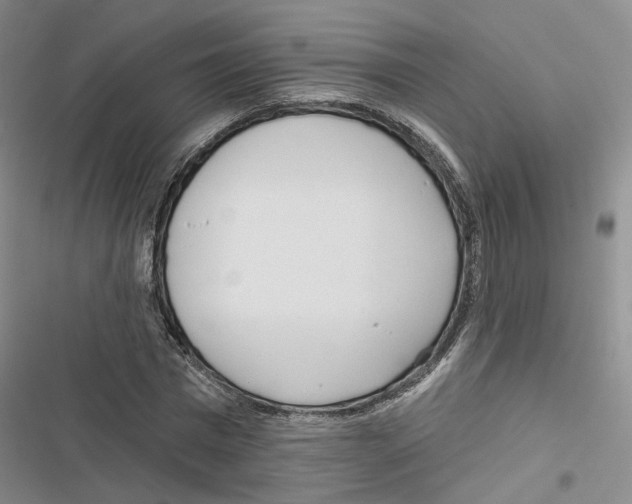 X0000116810777201001151143