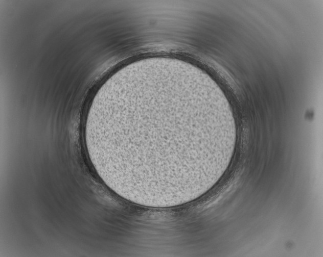 X0000116810778201001151143