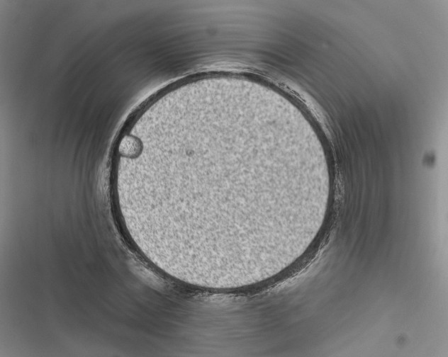 X0000116810779201001151143