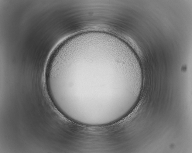 X0000116810780201001151143