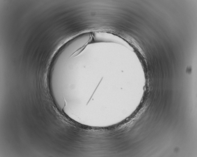 X0000116810781201001151143