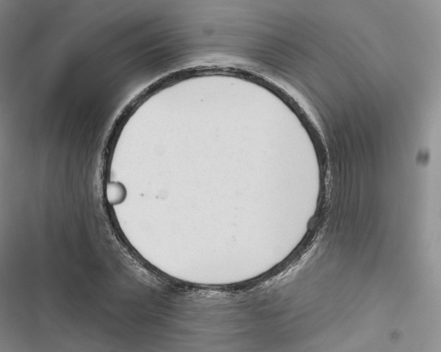 X0000116810783201001151143