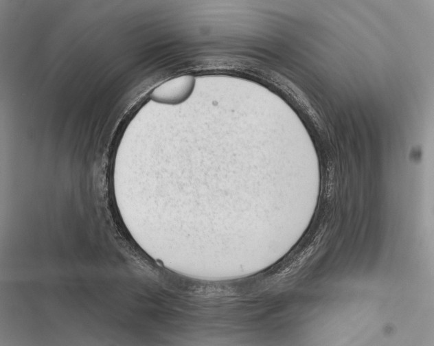 X0000116810786201001151143