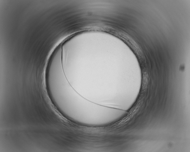 X0000116810788201001151143