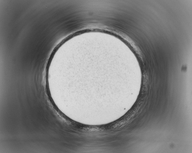 X0000116810791201001151143