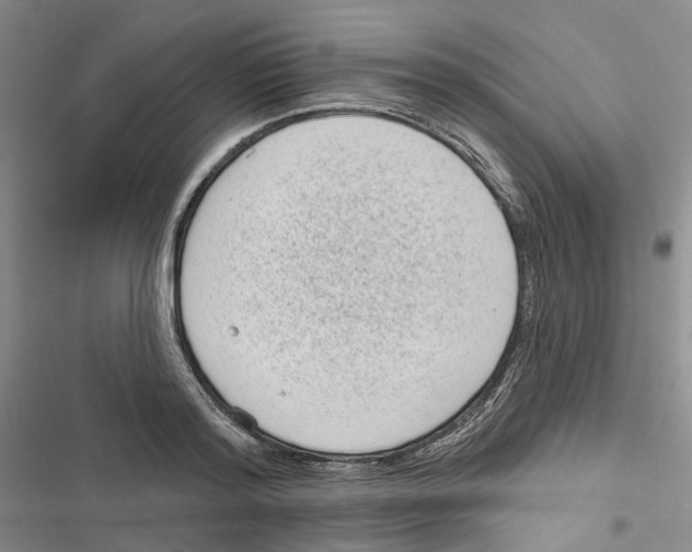 X0000116810796201001151143