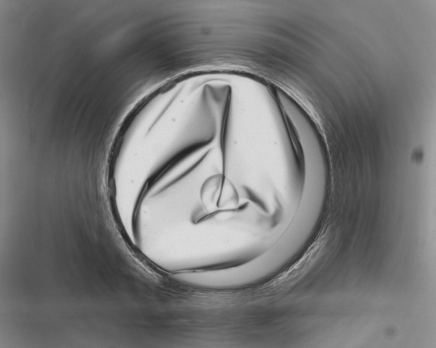 X0000116810797201001151142