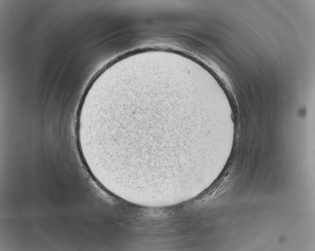 X0000116810799201001151142