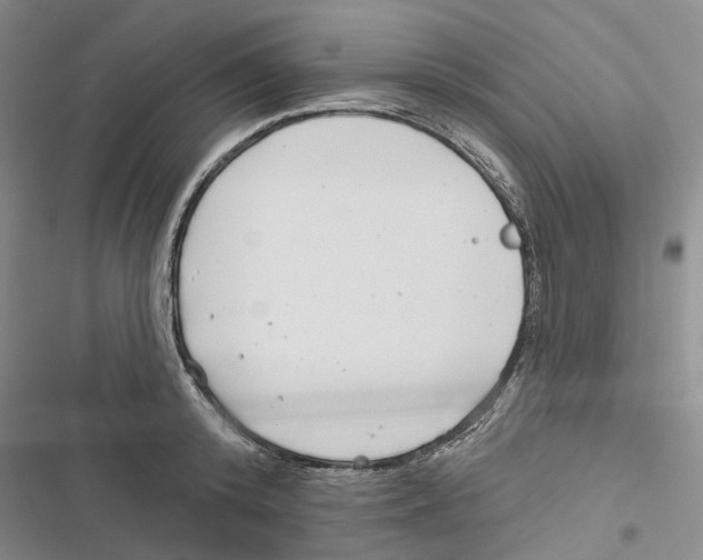 X0000116810800201001151142