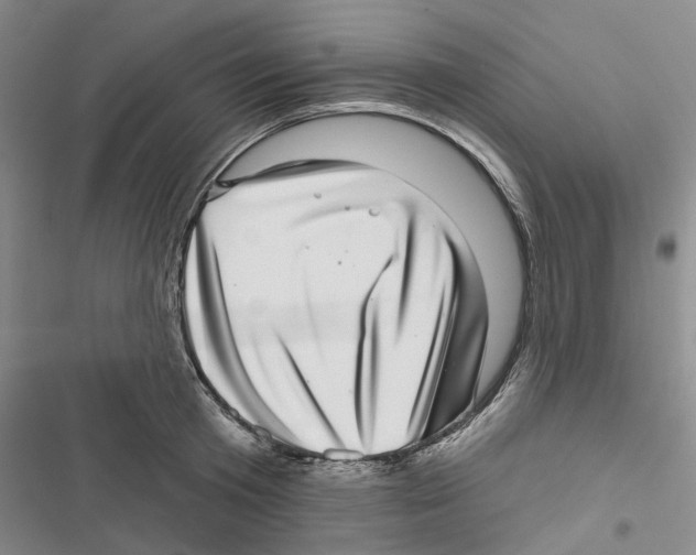 X0000116810801201001151142
