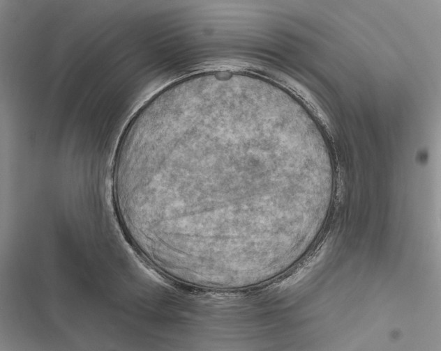 X0000116810802201001151142