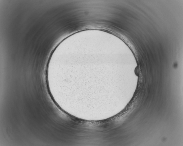 X0000116810803201001151142