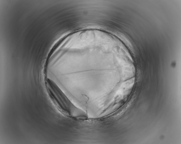 X0000116810806201001151142