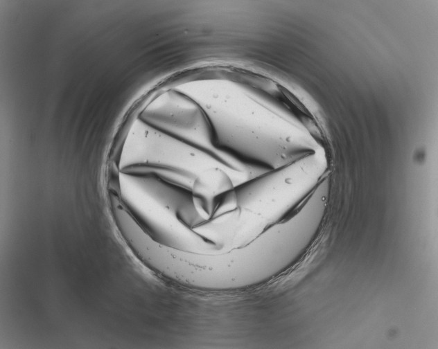 X0000116810807201001151142