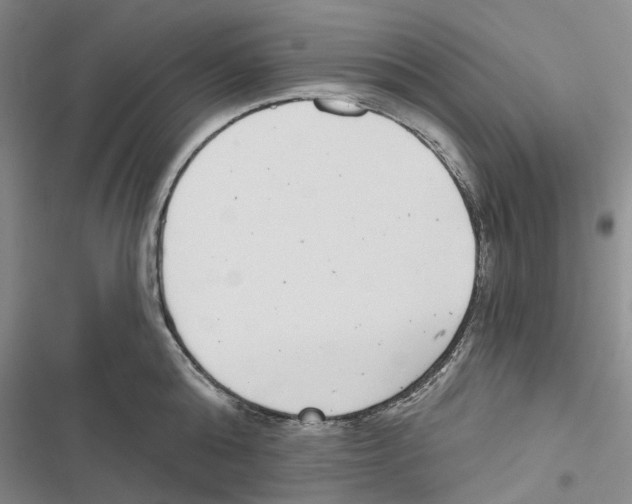 X0000116810808201001151142
