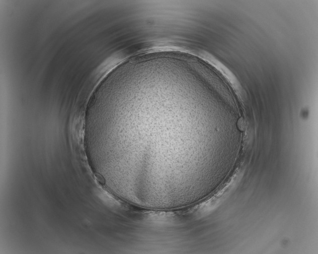 X0000116810809201001151142