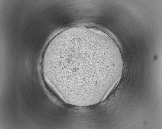 X0000116810811201001151142