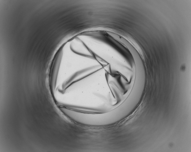 X0000116810813201001151142