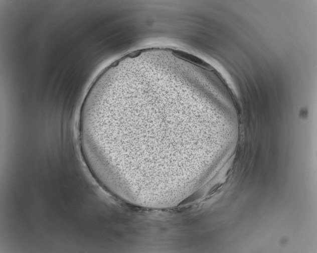 X0000116810815201001151142