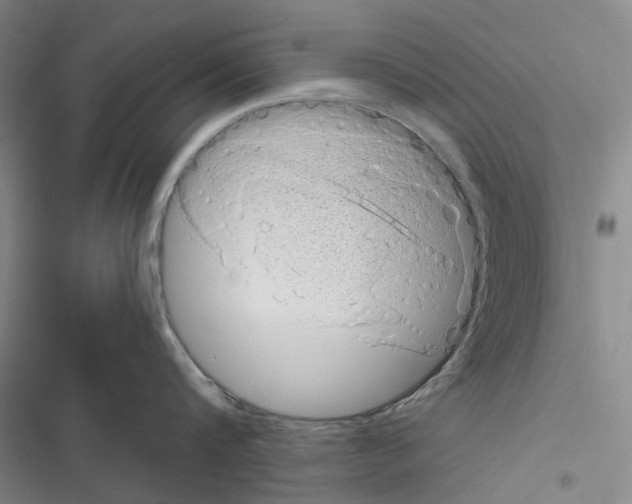 X0000116810816201001151142